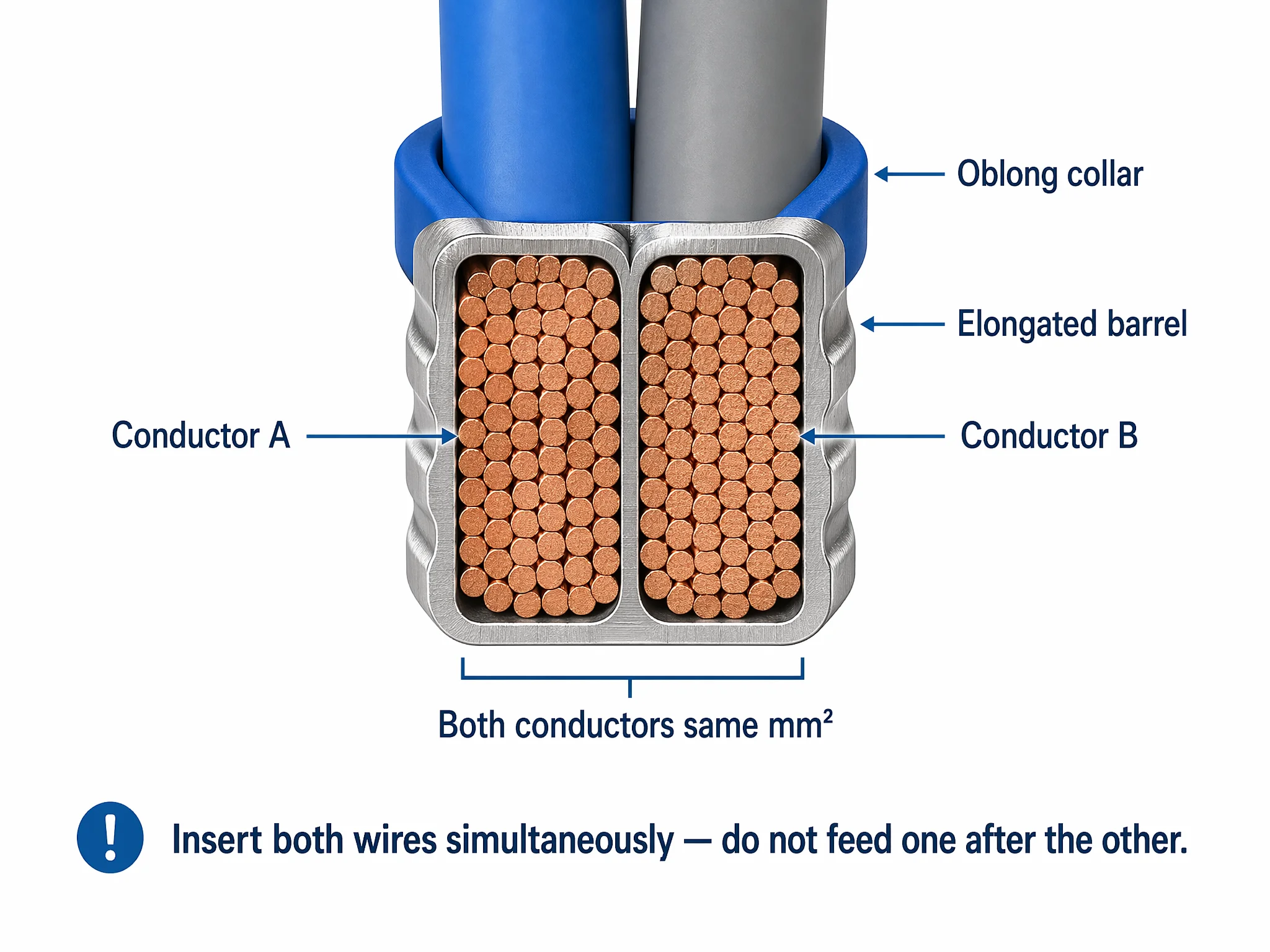 Cross-section of twin wire ferrule with two conductors crimped in one barrel