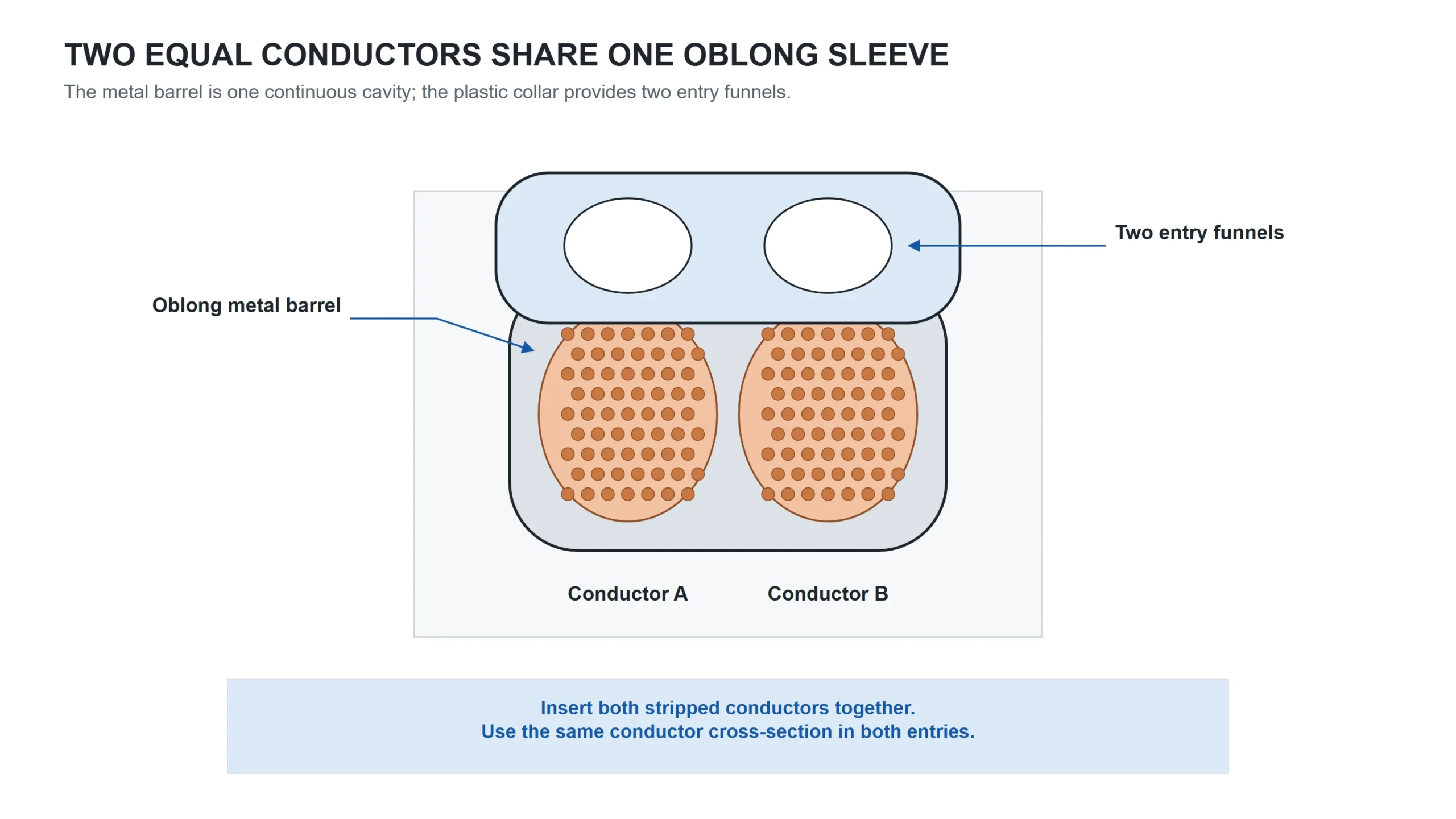 Cross-section of twin wire ferrule with two conductors crimped in one barrel